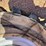 #1894-•-2023-gehl-al550-wheel-loader-image-18
