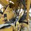 #1925-•-2003-vermeer-tg525-tub-grinder-(has-wi-title-in-delay)-image-48