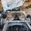 #6984-•-2024-volvo-sleeper-cab-semi-truck-tractor-image-18
