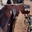 #3757-•-front-plow-mount-cut-off-image-11