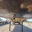 2006-east-48t-flat-deck-semi-trailer,-spread-axle-(120"),-all-axles:-21,200lbs,-11r24.5-tires,-steel-coil-supports,-vin#-1e1h5y2857rj40074-image-23