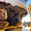 #1871-•-2007-new-holland-w130za-wheel-loader-image-24