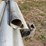 #3792-•-stainless-pipes-image-6
