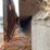 #3729-•-16'-salter-and-sand-box-with-conveyor-bottom-image-41