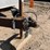 #6918-•-2008-homesteader-enclosed-tandem-axle-cargo-trailer-(wi-title-in-delay)-image-23