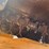 #1024-•-2016-orec-walk-behind-cyclone-flail-mower-image-9