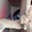mayrath-10x61-swing-away,-hyd-raise/-lower,-s/n--901946-image-6