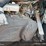 yamaha-grizzly-450-image-7