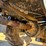 #1894-•-2023-gehl-al550-wheel-loader-image-20