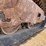 #1863-•-2017-bobcat-t450-tracked-skid-steer-image-18