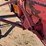 #1951-•-allis-chalmers-b-wide-tractor-image-25