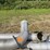 #3792-•-stainless-pipes-image-8
