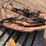 #5217-•-(3)-compound-bows-with-arrows-and-accessories-image-6