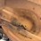 #1014-•-john-deere-f725-54"-lawn-mower-image-21
