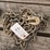 chain-with-2-5/16-hooks-image-1
