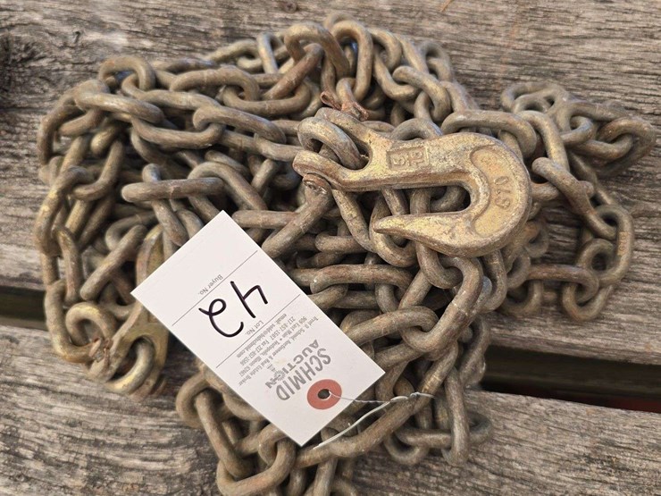 chain-with-2-5/16-hooks-image-1