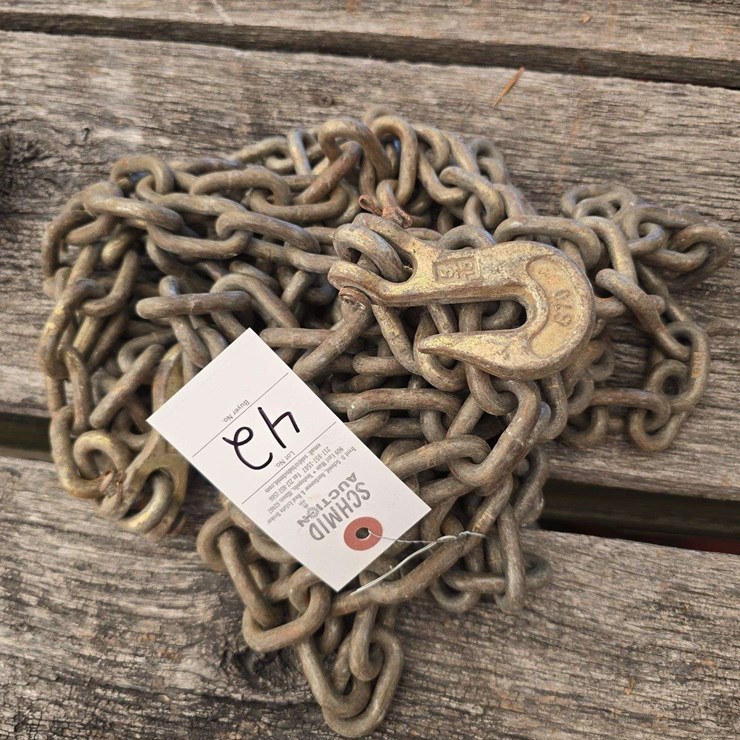 Chain with 2 5/16 hooks