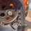 #3202-•-landhonor-mini-skid-steer-loader-image-15