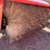 #1006-•-ariens-power-brush-28-snow-blower-image-8