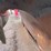#3753-•-front-plow-blade-image-8