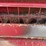 mayrath-10x61-swing-away-auger,-540-pto,-hyd-raise-and-lower,-s/n--937164-image-2