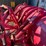 #3742-•-12'-heavy-duty-snow-plow-image-15