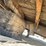 #3764-•-truck-bed-takeoff-image-7