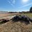 #3783-•-chain-link-fence-with-posts-image-7