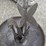 steel-bird-bath-image-6