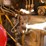 #1088-•-hydra-mac-1300-wheeled-skid-steer-image-23