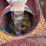 mayrath-auger-10x72-swing-away-auger,-hyd.-raise/lower,-540pto,-s/n--962187-image-9