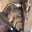 #1863-•-2017-bobcat-t450-tracked-skid-steer-image-17