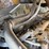 #1884-•-1998-volvo-l120c-wheel-loader-image-23