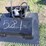 #581-•-mini-skid-steer-fail-mower-image-2