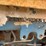 #1096-•-ford-diesel-power-unit-image-12