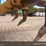 2015-caterpillar-d6t-xl-image-12