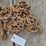 chain-with-2-5/16-hooks-image-1