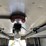 #3737-•-johnson-truck-body-insulated-box-image-50