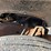 #6933-•-1994-chevrolet-1-ton-dually-service-body-truck-(has-wi-title)-image-33