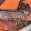 #3729-•-16'-salter-and-sand-box-with-conveyor-bottom-image-31