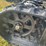 #3231-•-2026-cfg-kt13r-mini-excavator-image-10
