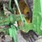 1979-john-deere-4640-tractor,-8,390-hours,-big-1000pto,-quad-range,-3-remotes,-18.4x42-duals,-side-stair-step,-full-front-weights,-quick-hitch,-s/n--4640h010567r-image-8