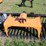 #514-•-76-in-single-cylinder-skeleton-grapple-bucket-v3-image-1