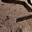 #3759-•-front-plow-mount-cut-off-image-12