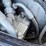 #1894-•-2023-gehl-al550-wheel-loader-image-32