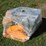 #546-•-c80-plate-compactor-image-5