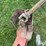 rhino-hphd-post-hole-auger-image-10