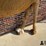 large-2-humped-stuffed-camel-image-12