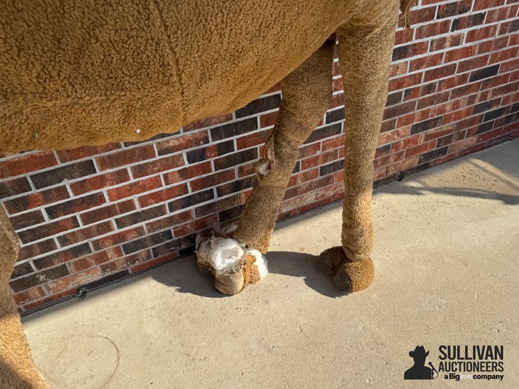large-2-humped-stuffed-camel-image-12