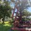 case-ih-4300fc-24'-vibra-shank-field-cultivator/harrow-image-16
